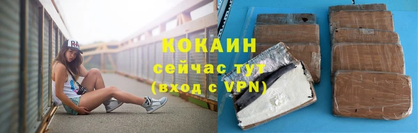 гидра Арсеньев